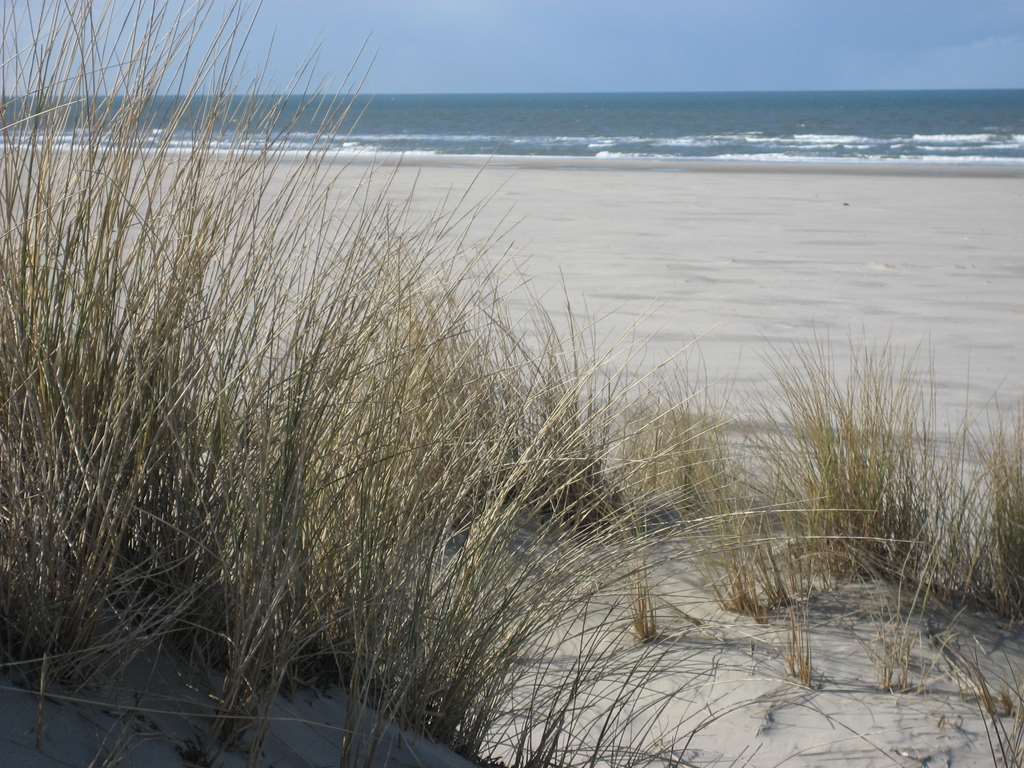 Ringhotel Residenz Wittmund Luaran gambar